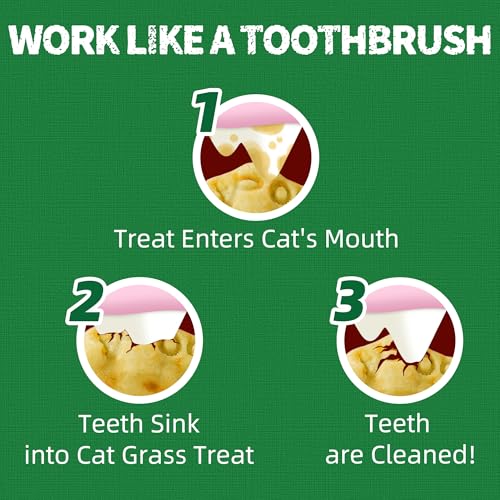 36 OZ Cat Grass Treats for Indoor Cats Hairball Control (2.25 Pound (Pack of 1))