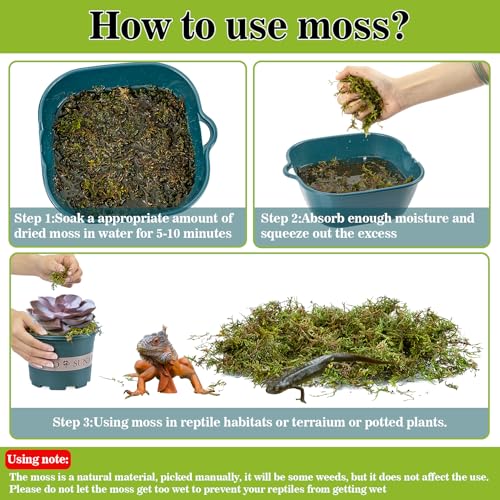 Sphagnum Moss for Reptiles (15.8 Ounces / Green)