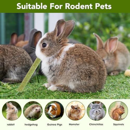 45 PCS Timothy Hay Sticks for Rabbits Natural Molar Teeth Stick Chew Toys for Bunnies Chinchillas Guinea Pigs Hamsters and Other Small Animals Treats (0.27 Ounce (Pack of 45))