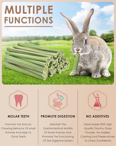 Rabbit Chew Sticks (100 PCS)
