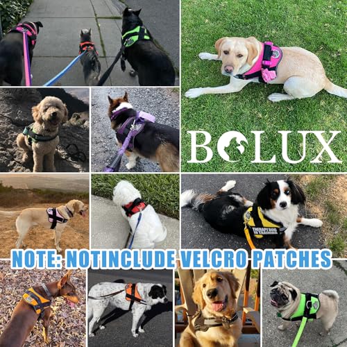 Dog Harness No (Medium (Pack of 1) / BluePool)