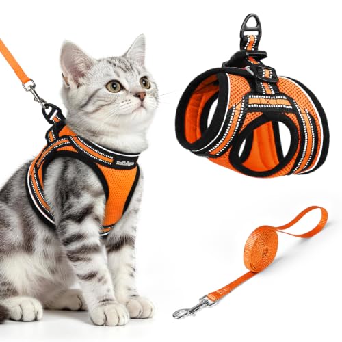 Cat Harness and Leash Set (M / Orange)