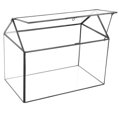 Glass Terrarium with Acrylic Lid