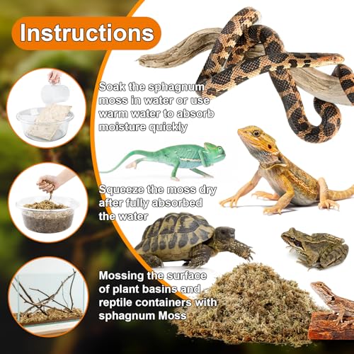 Sphagnum Moss for Reptiles & Plants (3.5 Ounces / Yellow Green)
