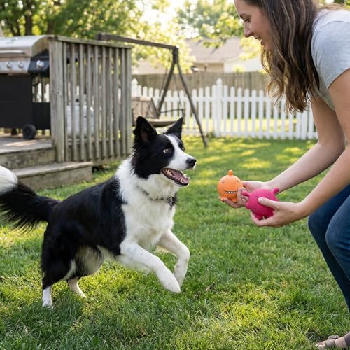Dog Squeaky Balls Toys Rubber Soft Latex Dog Toys Chewing Squeaky Toy for Puppy Small Medium Pets (smiley face design)