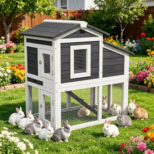 Wooden Rabbit Hutch Indoor (White)