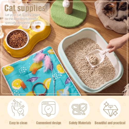 10 Pcs Kitten Starter Kit for Indoor (Cute / Small / Multicolor)