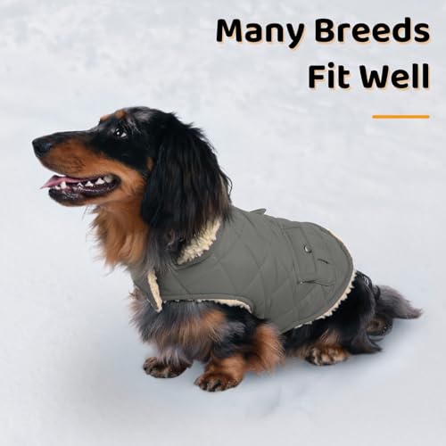 Dog Winter Coat (Small / Grey)