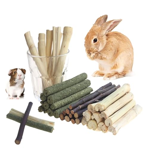 600g Guinea Pig and Rabbit Chew Toys (600g)