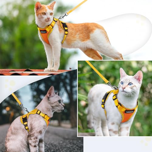 Cat Harness and Leash Set (Orange & Yellow / Xs)