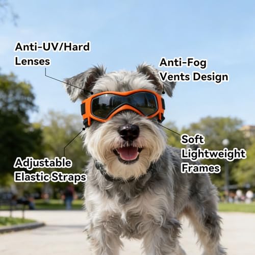 Small Dog Goggles for Small Breed UV (Small / Orange)