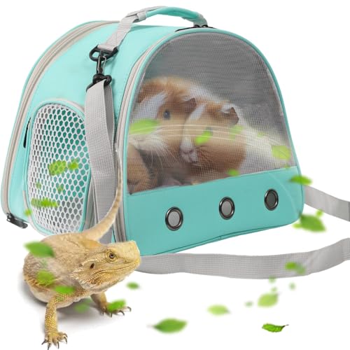 Guinea Pig Carrier (Green)