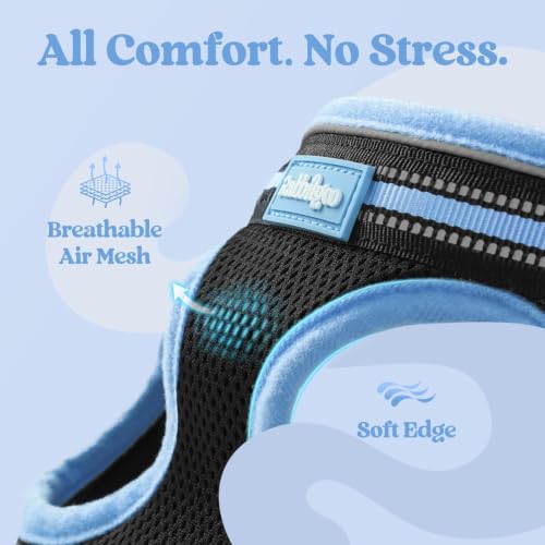 Cat Harness and Leash Set (L / Black & Light Blue)