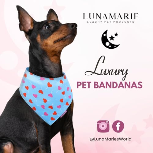 Luxury Pet Birthday Bandanas (LoviePop / X-Small)