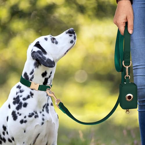 Soft PU Leather Dog Collar (S: Fit 9-14" Neck(10-20 lbs) / Christmas Green)