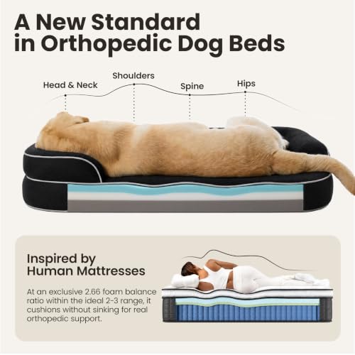 RealOrtho™ 3 Layer Orthopedic Dog Beds Large Sized Dog (Black / 35"L x 25"W x 7"Th)