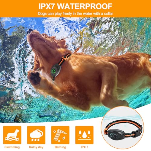Dog Shock Collar with Remote Control