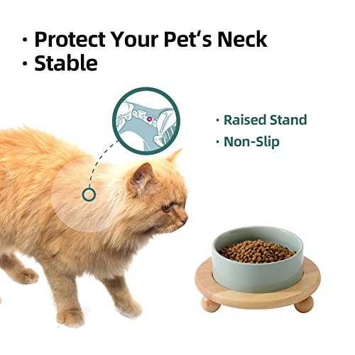 Raised Cat Bowl 5.1” Elevated Ceramic Cat Food and Water Bowl (Light Green)