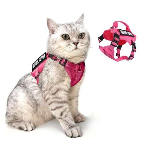 Tactical Cat Harness Pink for Walking Esacpe Proof (Pink / L)