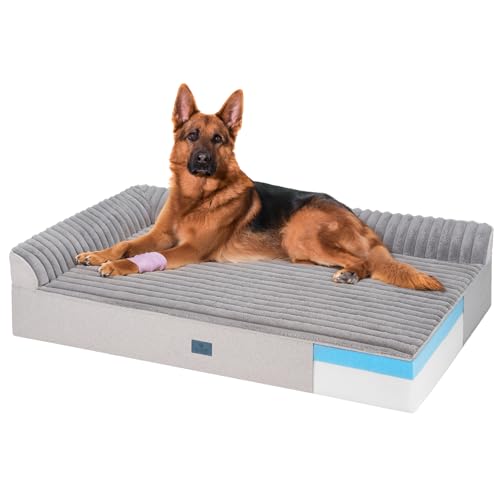 Orthopedic Dog Bed for Senior Dog (Gray / 52"L x 36"W x 7"Th)