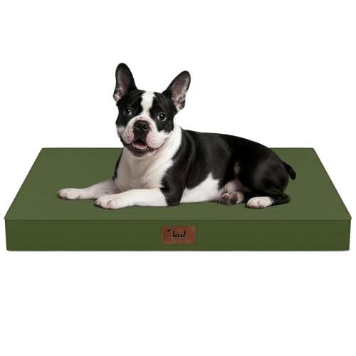 Orthopedic Waterproof Dog Bed for Small Dogs and Cats (Amy Green / 29.0"L x 18.0"W x 3.0"Th)