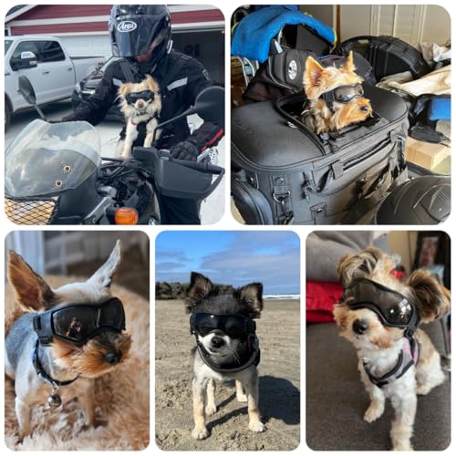 XS Dog Goggles for Extra Small Breed UV (X-Small / Black)