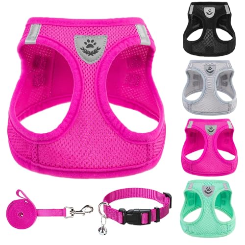 Dog Harness Collar and Leash Set No Pull for Small Medium Sized (Solid DeepPink / XL (CHEST 20"-22"))