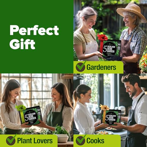 5 Herb Indoor Garden Starter Kit