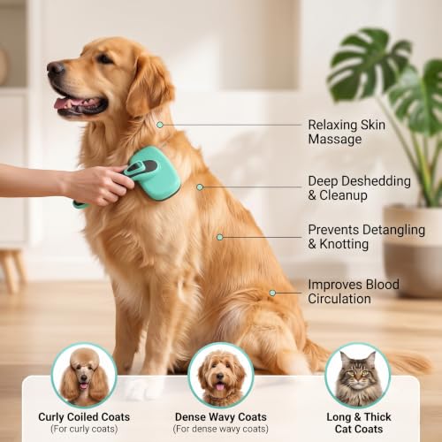 5 PCS Cat & Dog Grooming Kit Brush (Green 5pc)