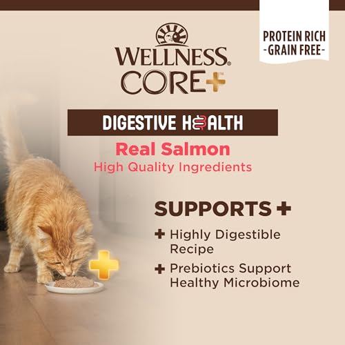CORE+ Digestive Health Pate Adult Canned Wet Cat Food (3 Ounce (Pack of 12))
