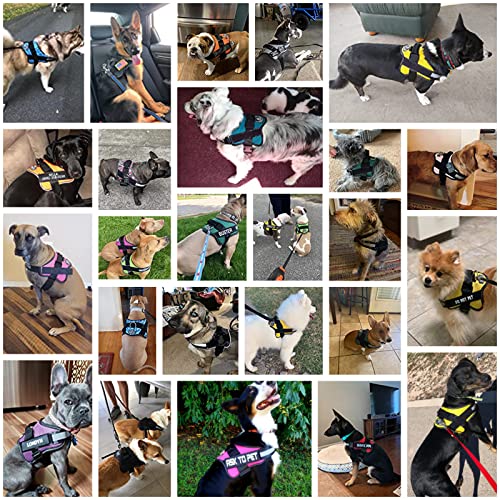 Dog Harness No (Medium (Pack of 1) / Purple)