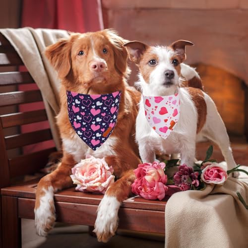 Valentine Dog Bandana (Large / Valentine)