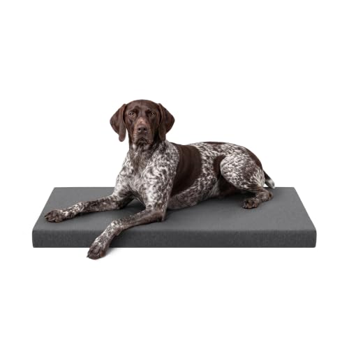 Tough Ripstop Orthopedic Crate Bed (Large (41" L x27" W x 3" H) / Titanium Premium Finish)