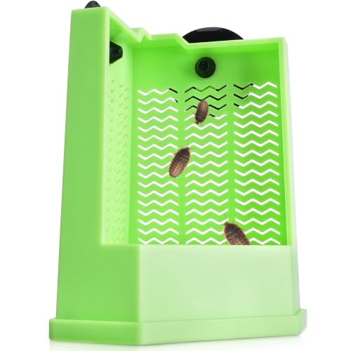 Reptile Corner Hunting Bowl (Right Angle Feeding Bowl / Small)