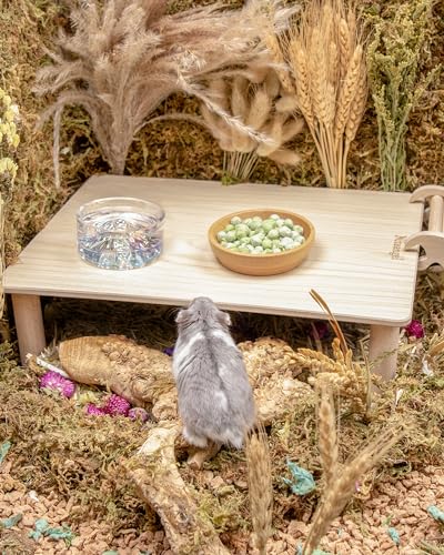 Hamster Snack & Treats Toy