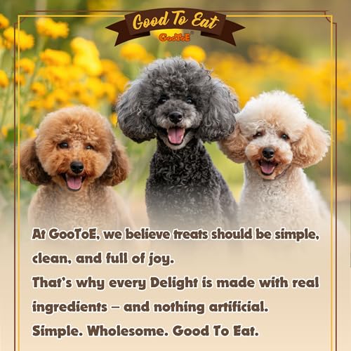 Turkey Tendons for Dogs (2.6 Ounce (Pack of 1))