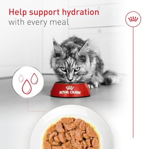 Feline Health Nutrition Aging 11+ Wet Cat Food for Seniors (3 Ounce (Pack of 6) / Aging 11+)