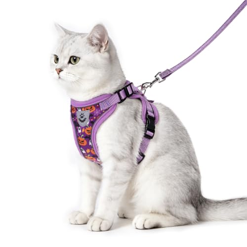 Halloween Cat Harness and Leash Set Escape Proof Reflective Cat Walking Harness Adjustable Soft Breathable Mesh Vest for Small Pets (M (NECK 11"-13.7", CHEST 16"-20") / Purple(Halloween))