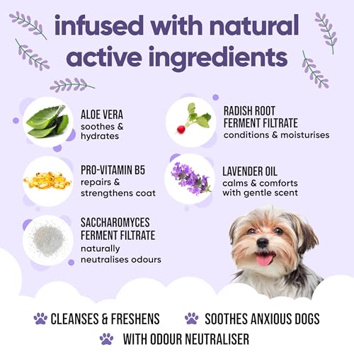 Calming & Deodorising Dog Shampoo by Buddycare (50.72oz)