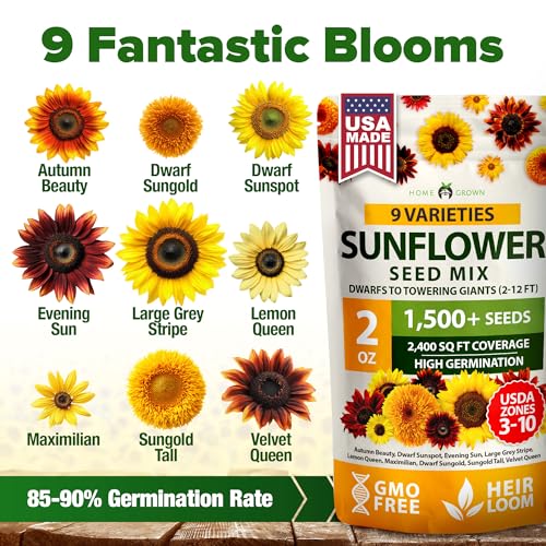 Sunflower Mix Seeds