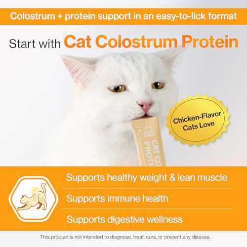Cat Colostrum Protein Cat Supplement Immune Support Muscle Growth