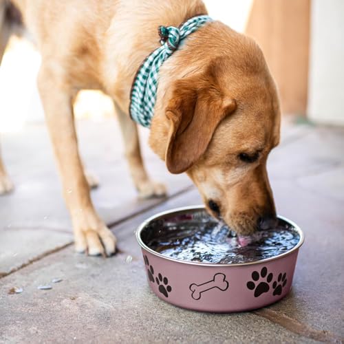 Bella Dog Bowls (Grape / Large (35-65lbs))