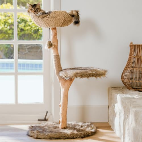 Mau Modern Wood Cat Tree Tower with Scratching Post (Brown)