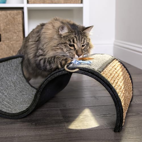 Dream Curl Carpet Cat Scratcher (One Size)