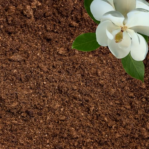 Peat Moss for Plants (Organic Sphagnum Peat Moss / 15 quarts)