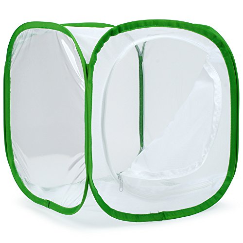 Insect and Butterfly Habitat Cage Terrarium Pop (White With Green / 12 x 12 x 12 inches)