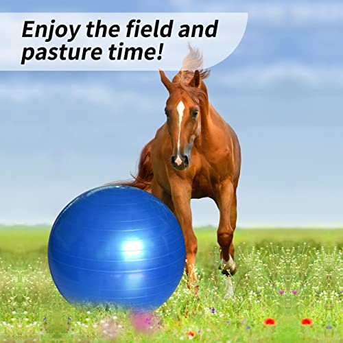 17 Inch Horse Play Balls Anti (Blue)