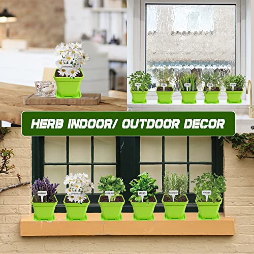 10 Herb Seeds Garden Starter Grow Kit with Green Pots (green)