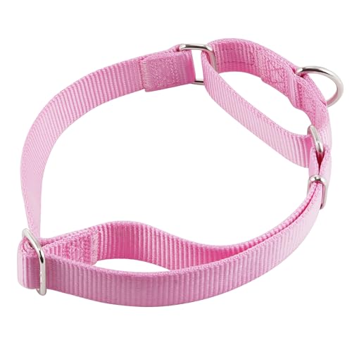 Martingale Collar for Dogs (XL / Bonbon Pink)