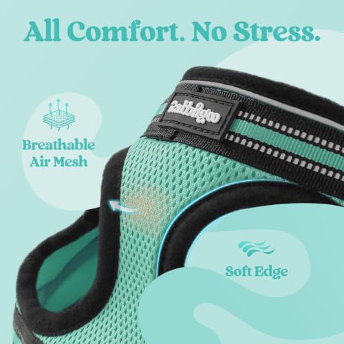 Cat Harness and Leash Set (XL / Green)